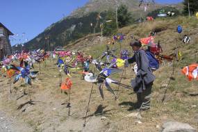 DSCN8822.JPG