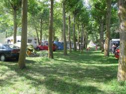 IMG_3896.jpg