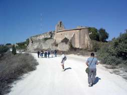 imgp0014.jpg