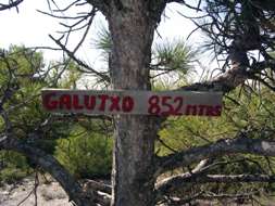 imgp0020.jpg