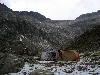 dsc08868.jpg
