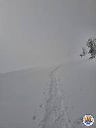 20260207_131339.jpg