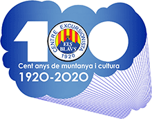 Comissió del Centenari