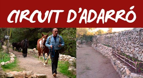 Imatge Activitat