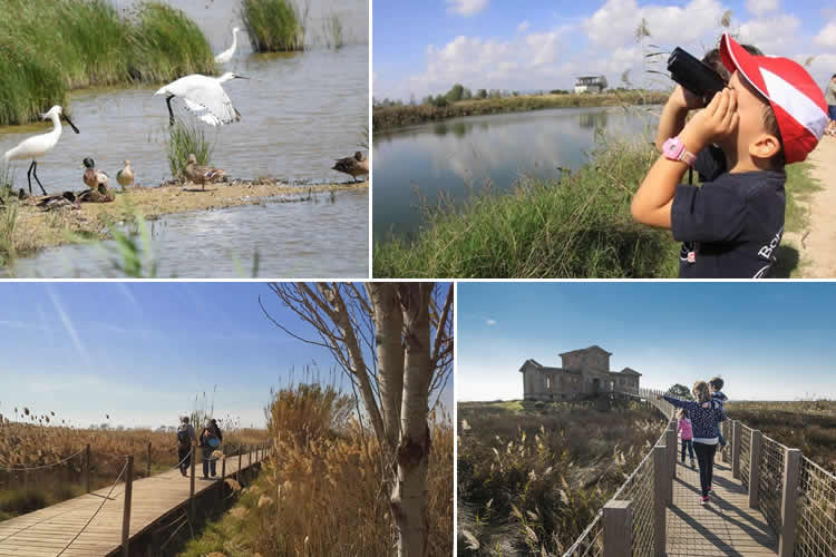 FentKmí | DELTA DEL LLOBREGAT 